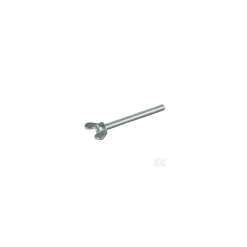 AS-Motor E08476ASM Vis papillon