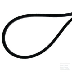 AS-Motor E07660 ASMCourroie