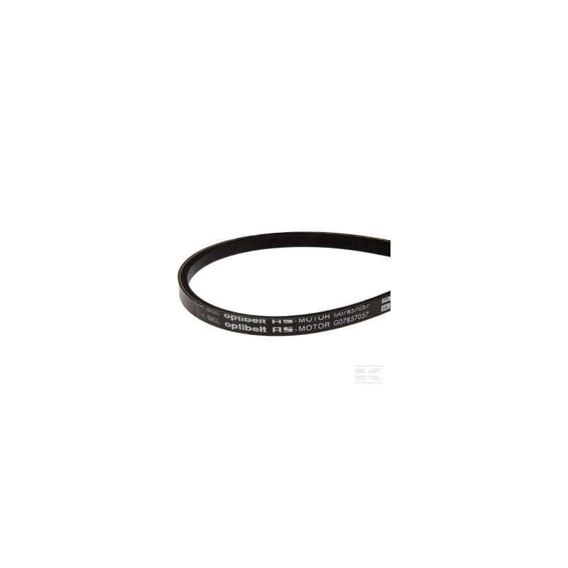 AS-Motor G07857057 Courroie trapézoïdale