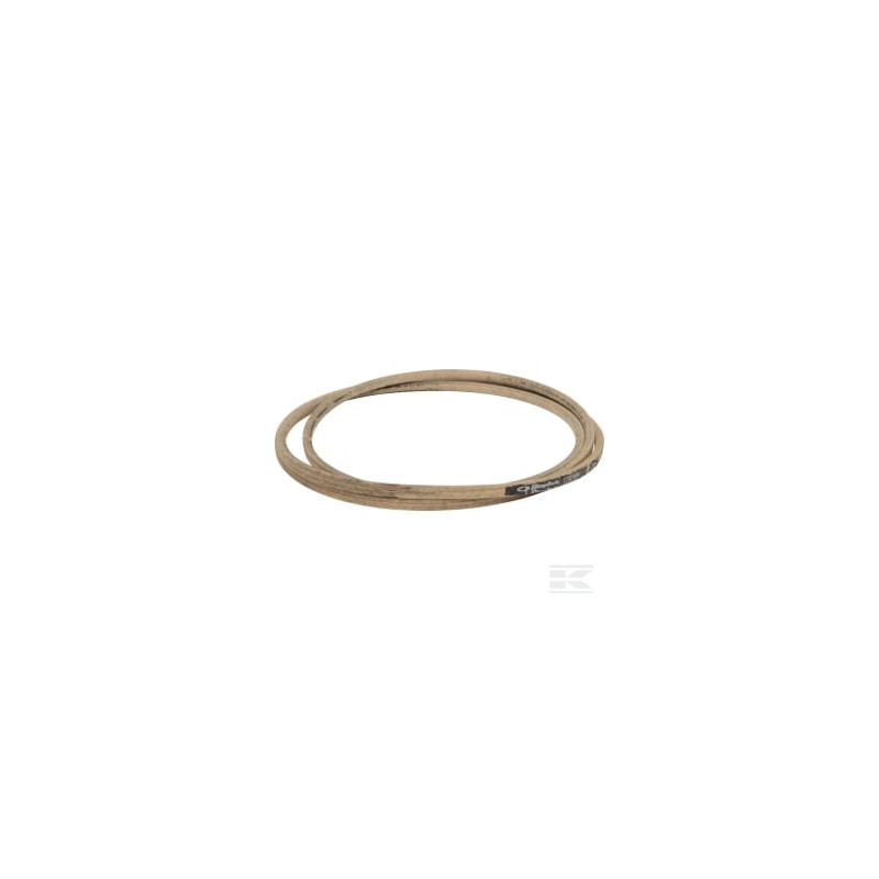Simplicity-Snapper 1732409SM Courroie tr. coupe 44"Regent XL