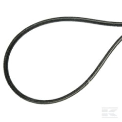 Agria AGW75377 Courroie 10 x 737