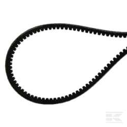 Agria AGW75375 Courroie 2215-8 x 425