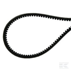 Agria AGW75375 Courroie 2215-8 x 425
