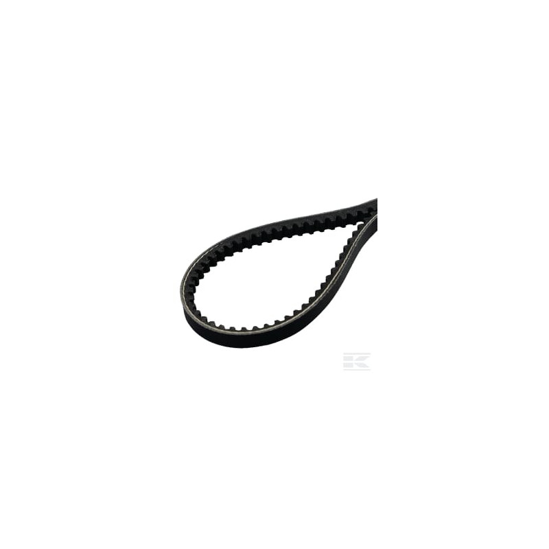 AS-Motor E04447ASM Jeu de 2 courroies trap. 9,7 x 850