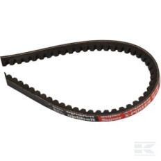 AS-Motor E04557ASM Jeu de 2 courroies trap. 9,7 x 825