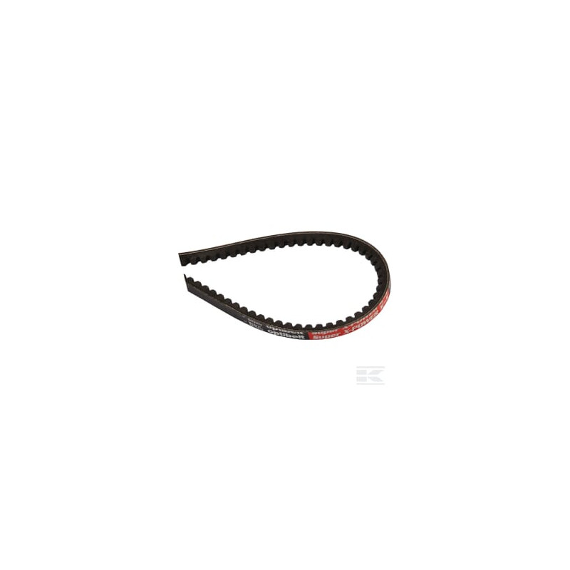 AS-Motor E04557ASM Jeu de 2 courroies trap. 9,7 x 825