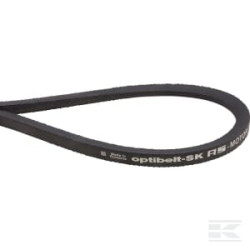 AS-Motor E06255ASM Courroie