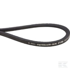 AS-Motor E06255ASM Courroie