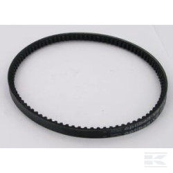 AS-Motor E05577ASM Courroie trapeziodale