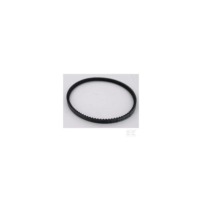 AS-Motor E05577ASM Courroie trapeziodale
