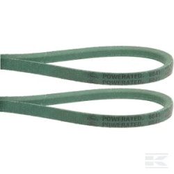 Gianni Ferrari 95599510000 Courroie 1/2 x 41 (paire), 4L/6841