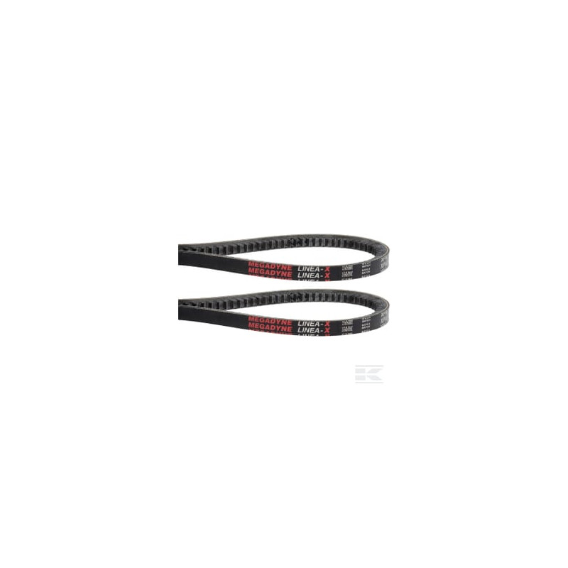 Gianni Ferrari 95599520000 Kit de courroie, paire SPAX 900