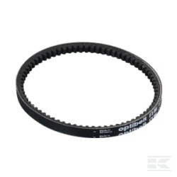AS-Motor E04994ASM Courroie trapezoidale