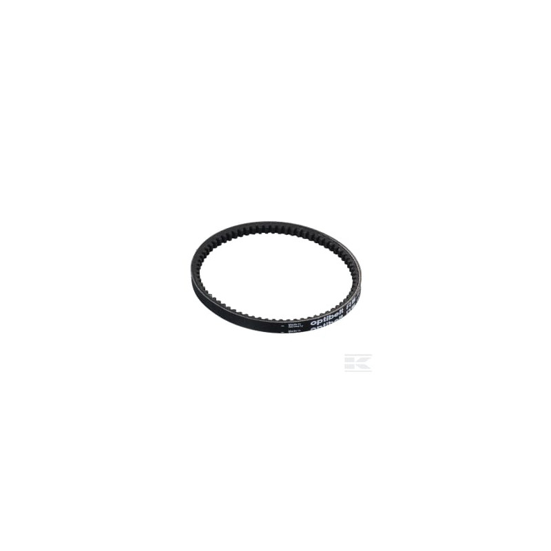 AS-Motor E04994ASM Courroie trapezoidale