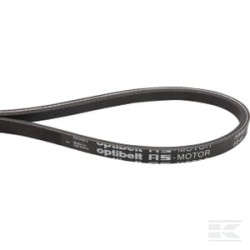 AS-Motor E06846ASM Courroie