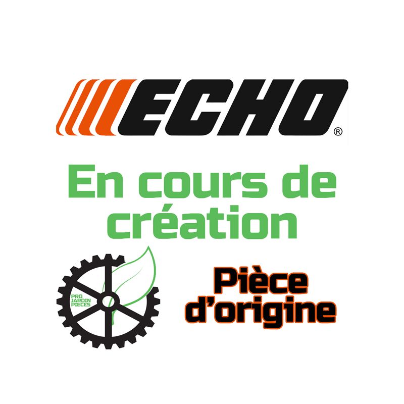 Echo segment A101000590
