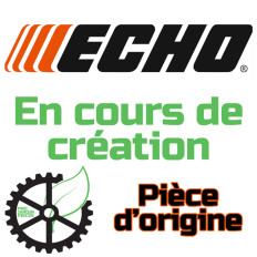 Echo corde P022010270