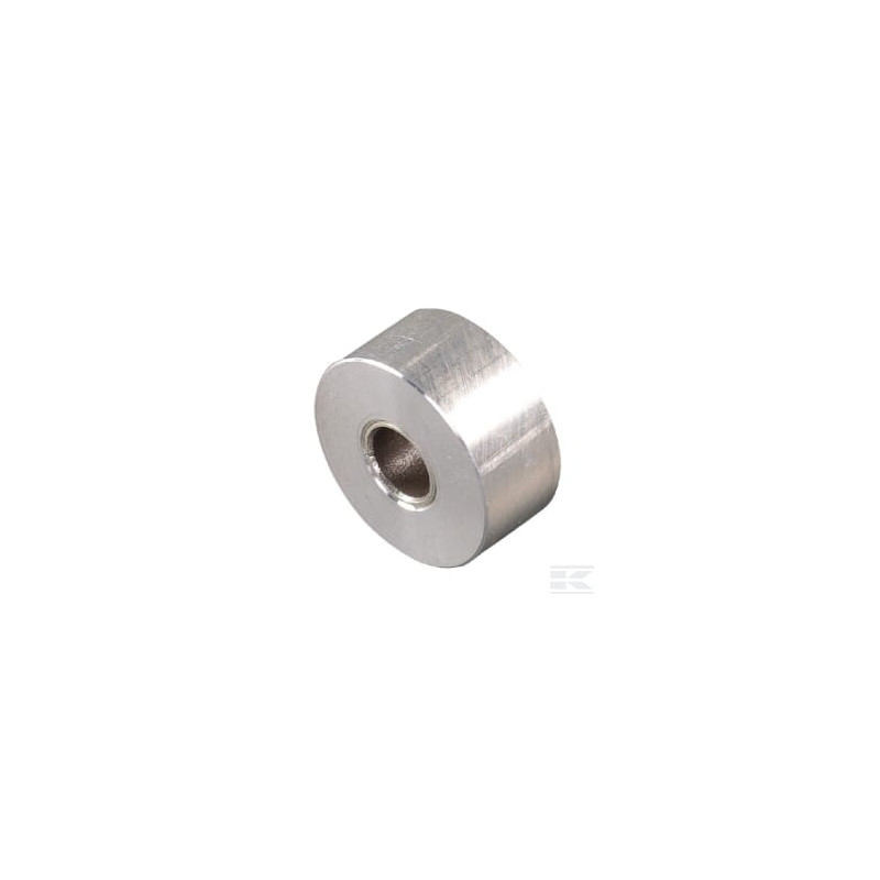 AS-Motor E06029ASM Poulie de tension