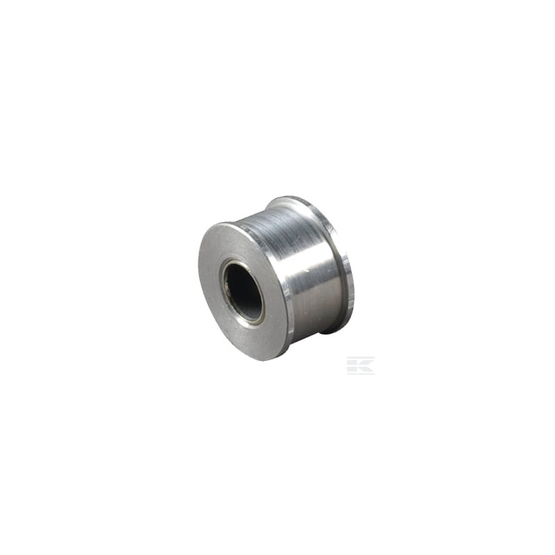 AS-Motor E06200ASM Poulie de tension