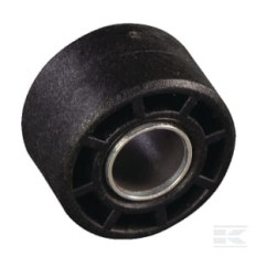 AS-Motor E03135ASM Galet tendeur.