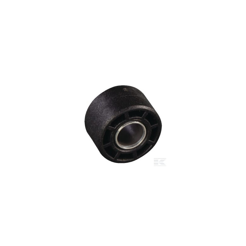 AS-Motor E03135ASM Galet tendeur.