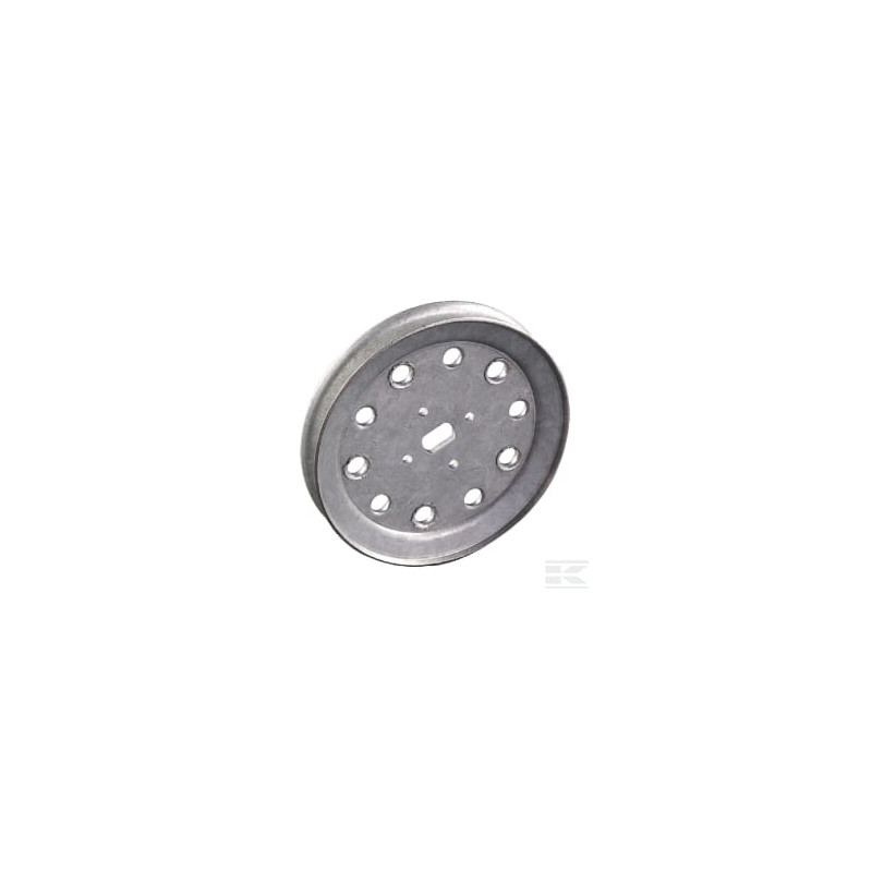 AS-Motor E05653ASM Poulie