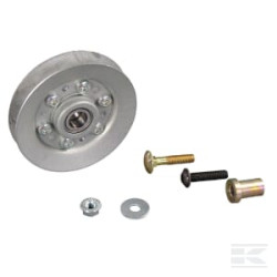 AS-Motor E06501ASM Poulie
