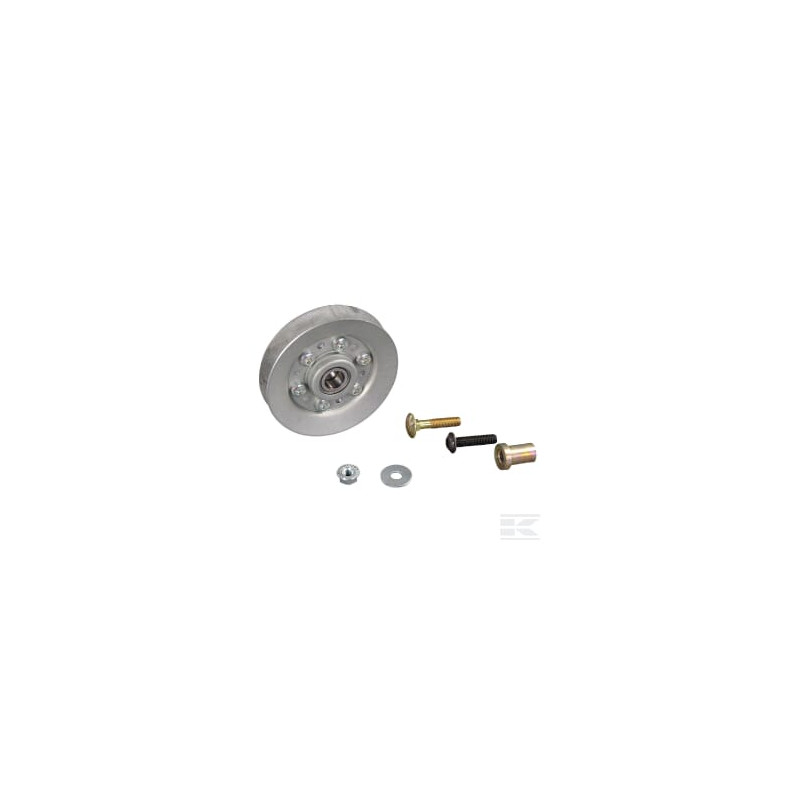 AS-Motor E06501ASM Poulie