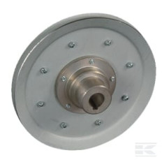 AS-Motor E08315ASM Poulie a courroie engrenage c