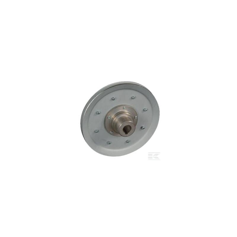 AS-Motor E08315ASM Poulie a courroie engrenage c