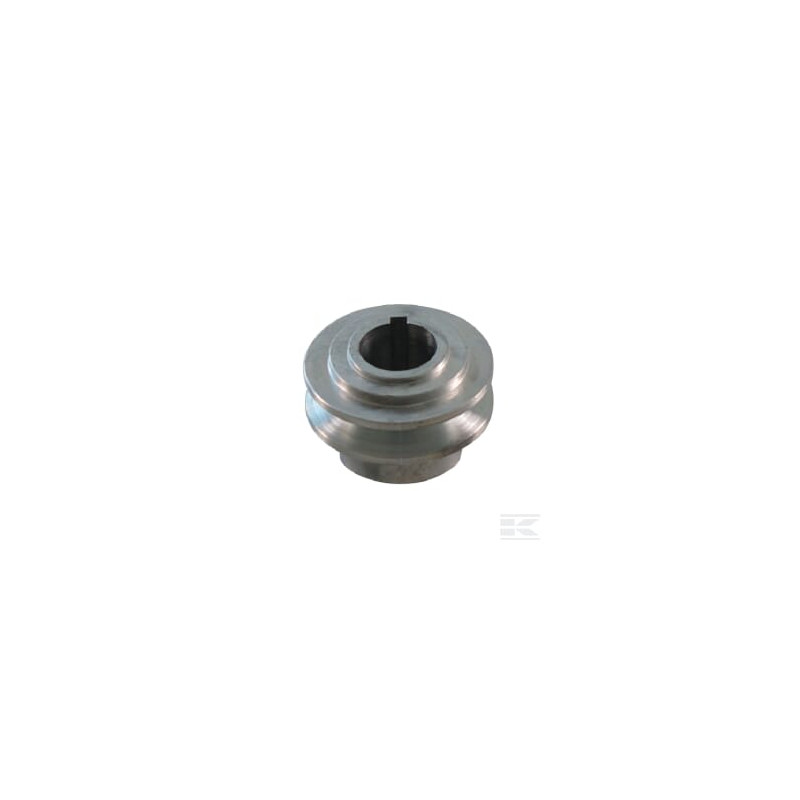Wolf-Garten 6150172 Poulie de moteur (moteur SV 4/SV 4 M)