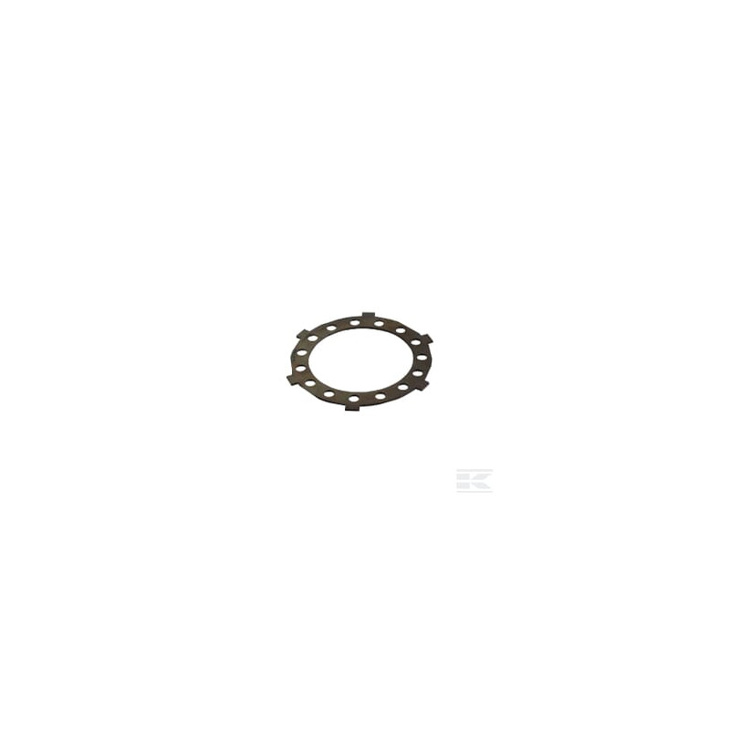 Agria AGW62454 Lamelle d'embrayage externe