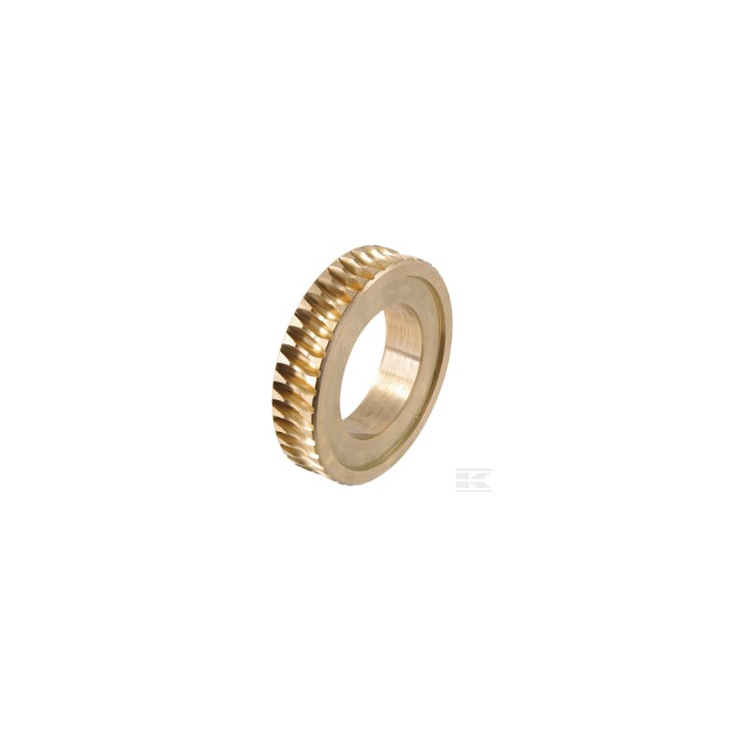 AGS 532032252083 Wormwiel