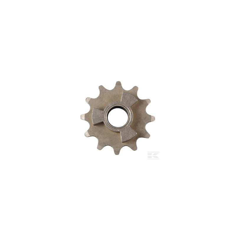 AS-Motor E05739ASM Roue dentée 12 dents