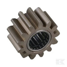 AS-Motor E05208ASM Pignon