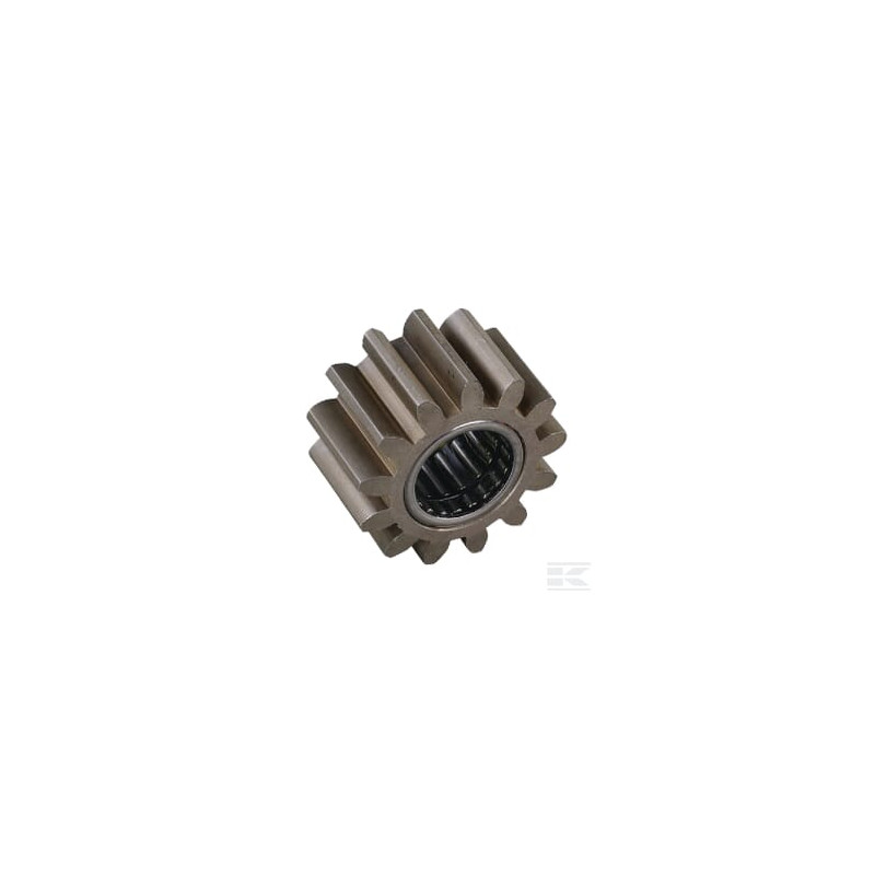 AS-Motor E05208ASM Pignon