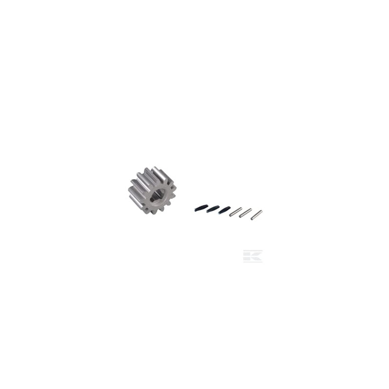 AS-Motor E05346ASM Pignon av.3 ressorts et 3 rou