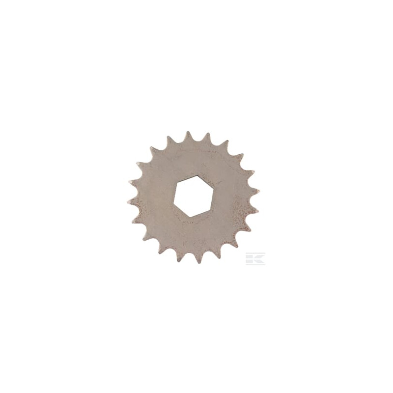 AS-Motor E05704ASM Roue dentée à 20 dents