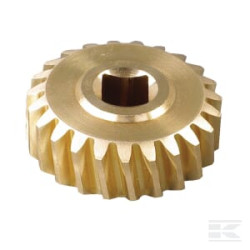 AS-Motor E04662ASM Pignon helicoidale