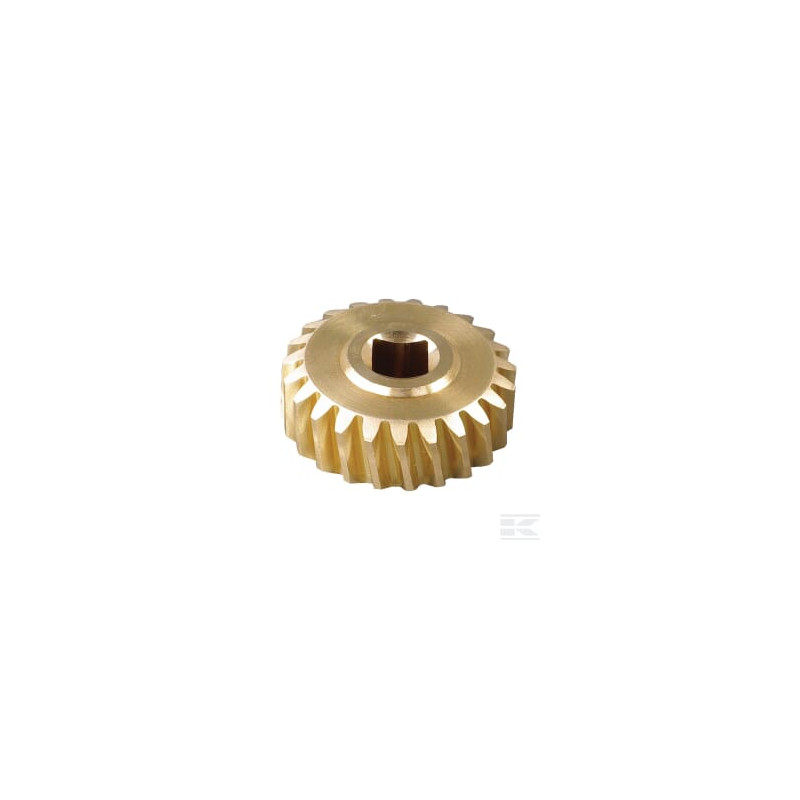 AS-Motor E04662ASM Pignon helicoidale