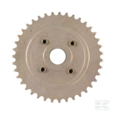 AS-Motor E05671ASM Roue dentée 39 dents