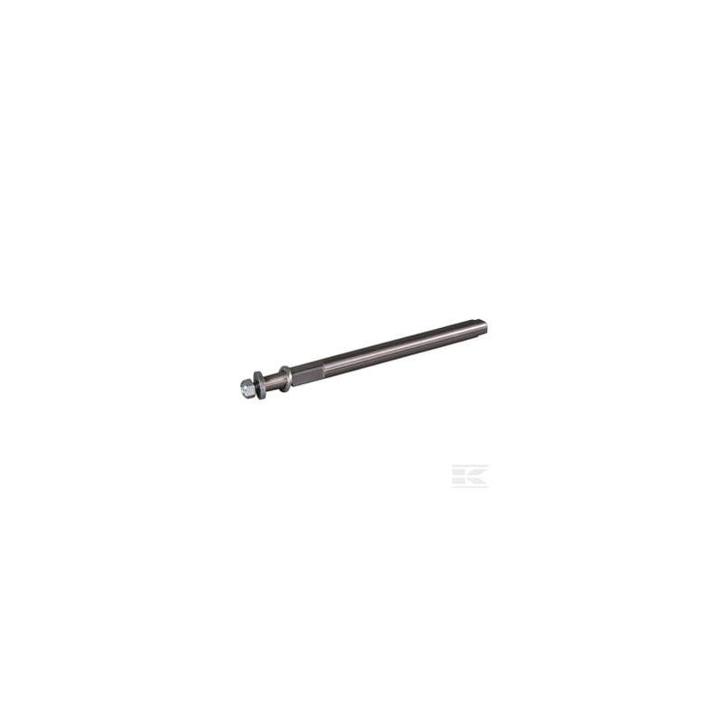 AS-Motor E06171ASM Arbre deroue tangente + ecrou