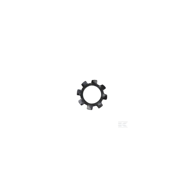 AS-Motor E04352ASM Disque dentée (20)