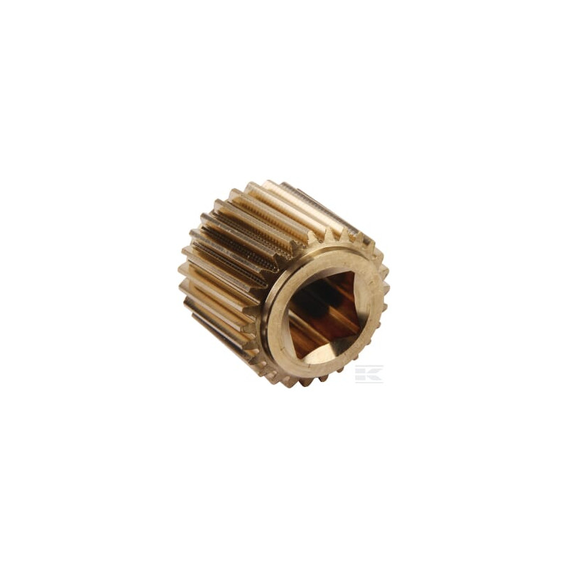 AS-Motor E10603ASM Roue hélicoïdale