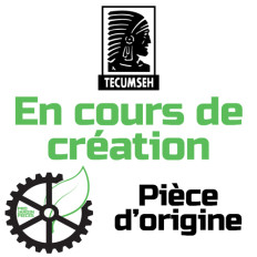 Tecumseh arbre a cames