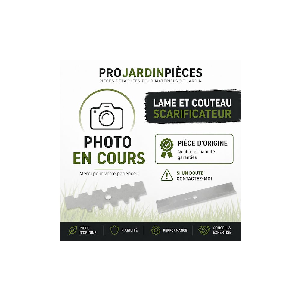 MTD 196284600 Ensemble d'arbre à ressort MAS3001 pour scarificateur de 30 cm