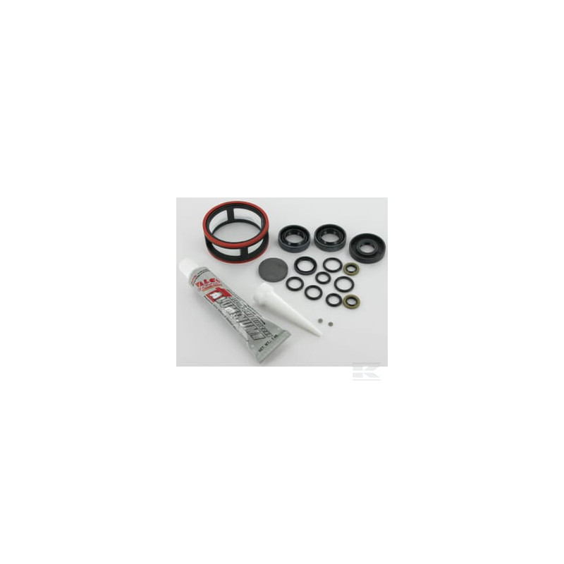 Tuff Torq 1A646098240 Kit de joints (avec huile)