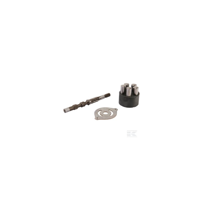 Etesia ET28617 Kit de pompe + moteur