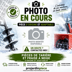Briggs & Stratton 1738032BJYP Vis sans fin, soudée, 29", D