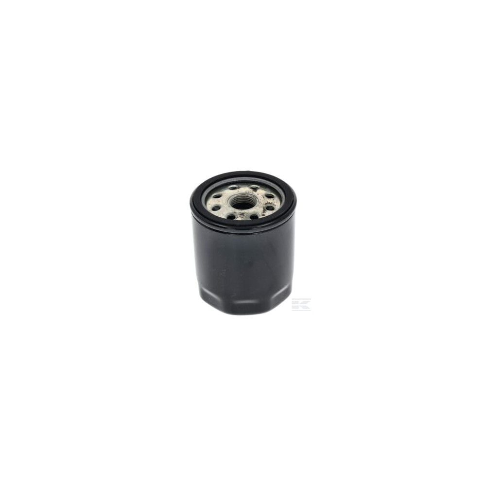 Gianni Ferrari 0032000080 Filtre à huile hydraulique pour TG